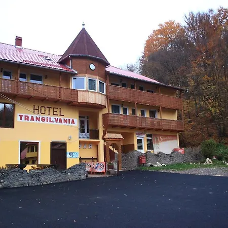 Vila Transilvania